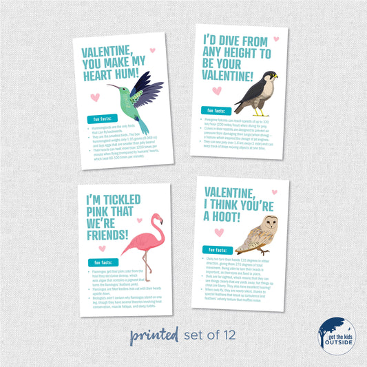Valentines - Bird Fun Facts - printed (set of 12)