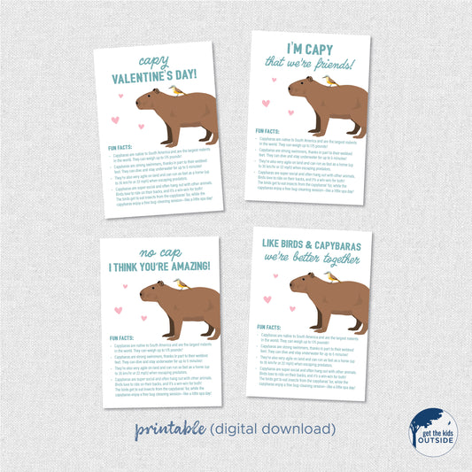 Valentines - Capybara Fun Facts - printable