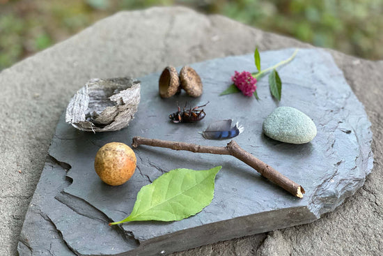nature loose parts for outdoor activity