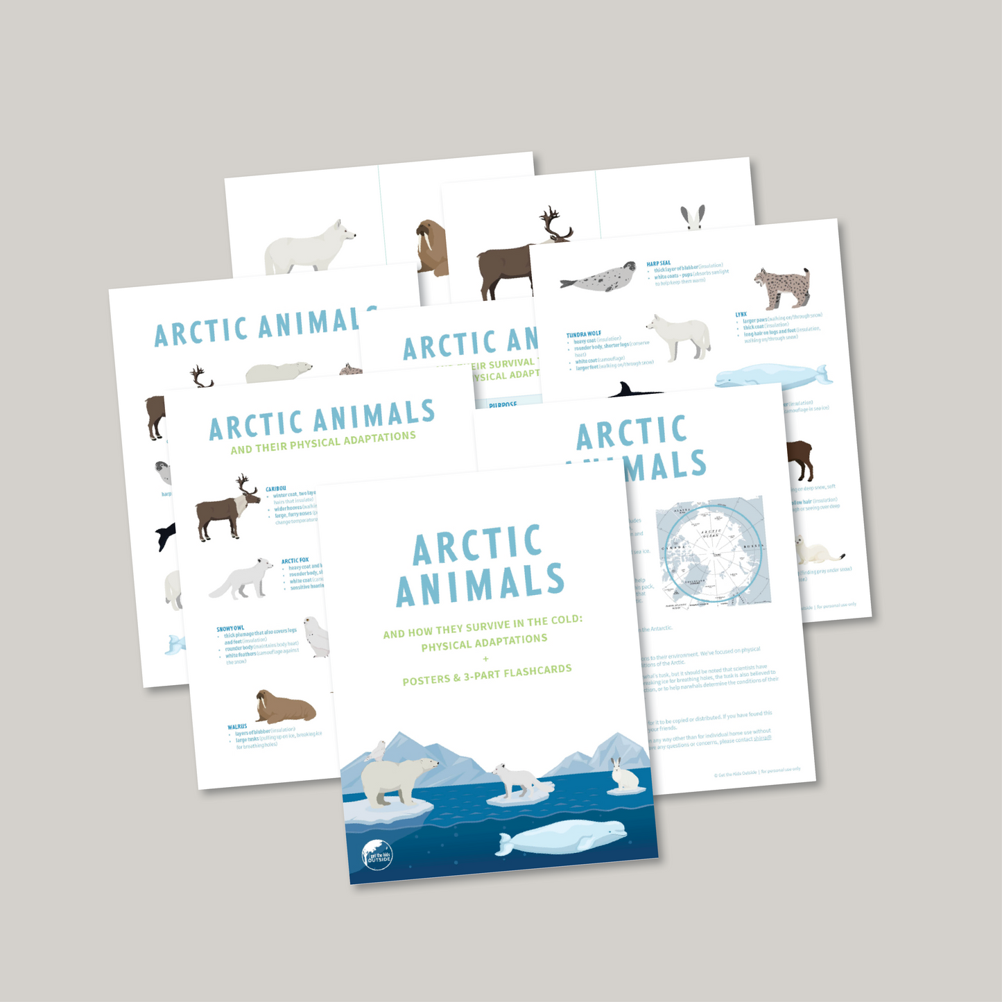 Arctic Animal Adaptations