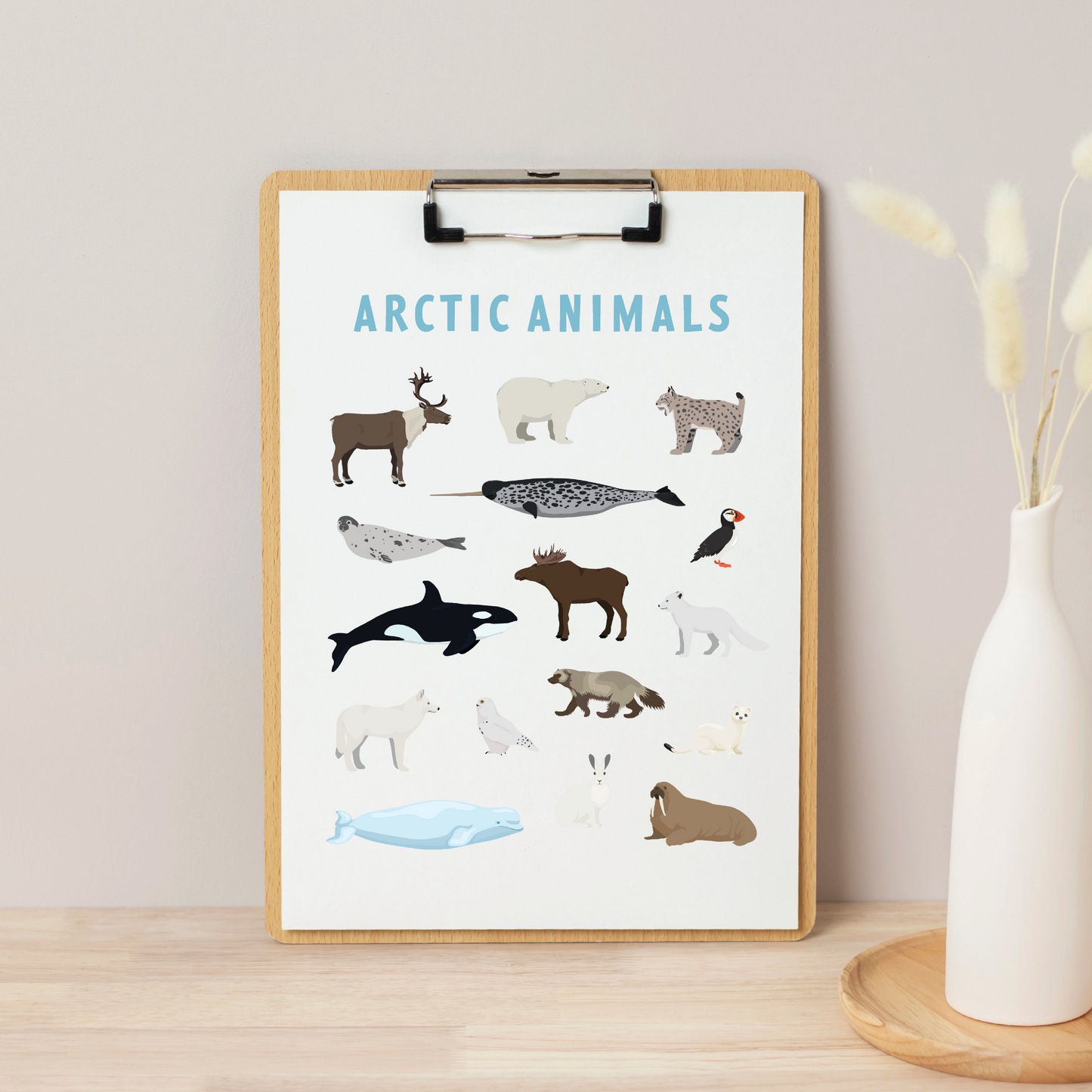 Arctic Animal Adaptations