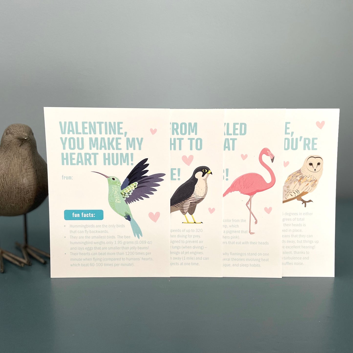 Valentines - Bird Fun Facts - printed (set of 12)