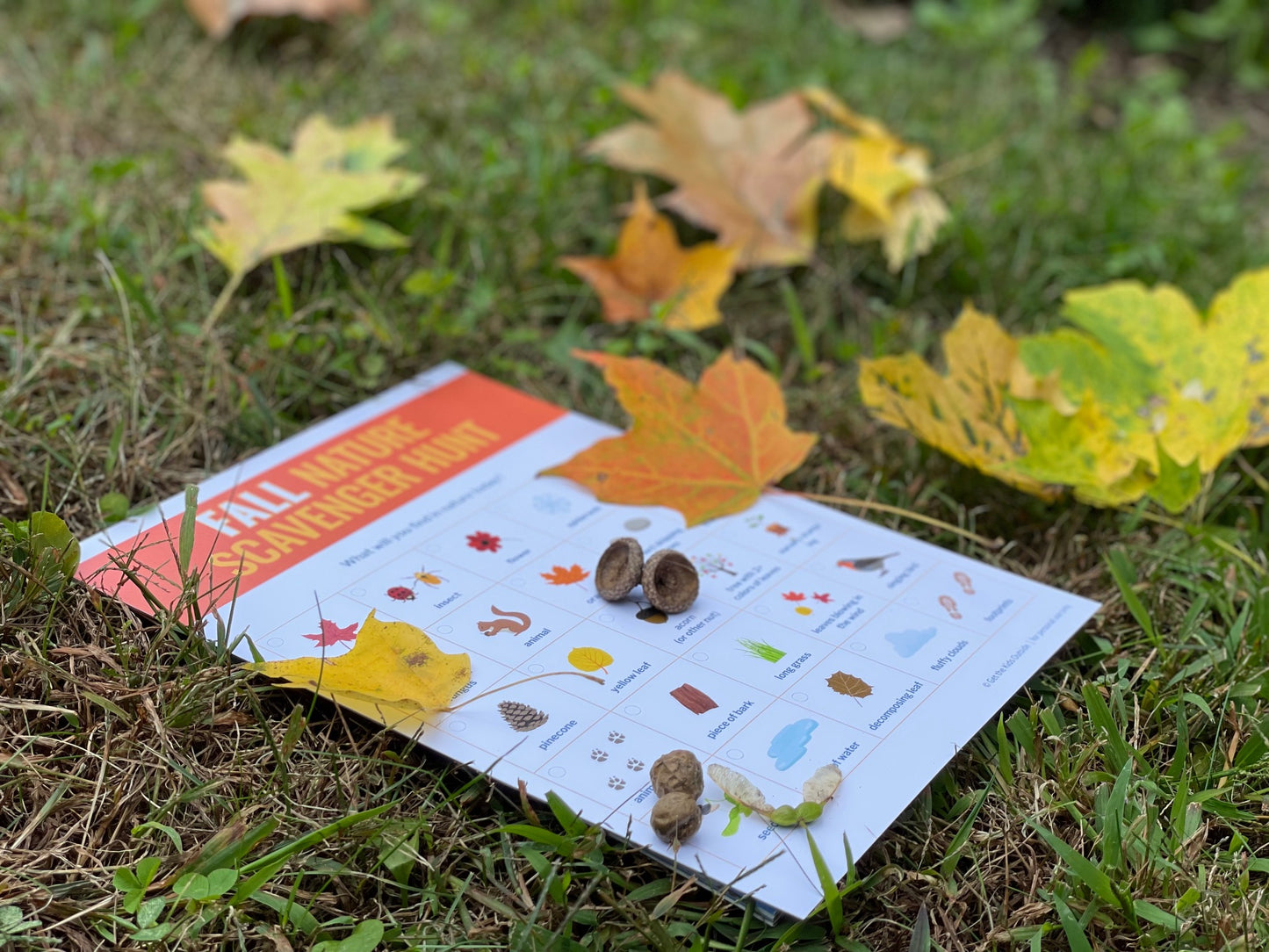 Nature Scavenger Hunt: Fall / Autumn