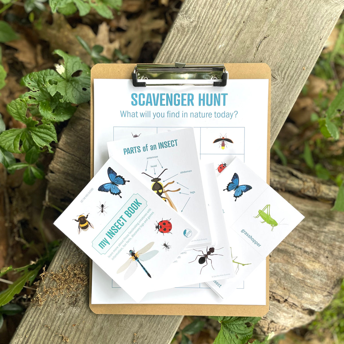 Insect Activity Books Insect Book – Get the Kids Outside