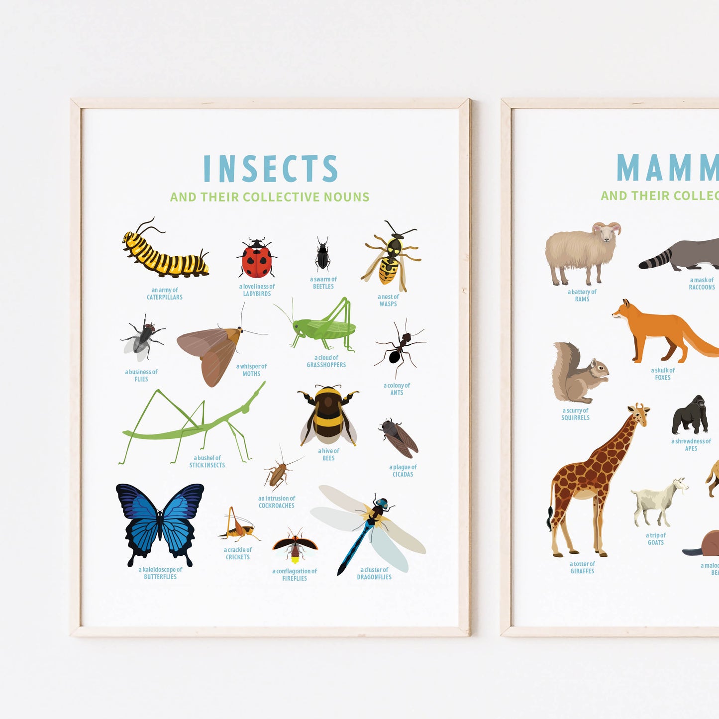 Collective Nouns Poster TRIO (insects, mammals, birds) - digital