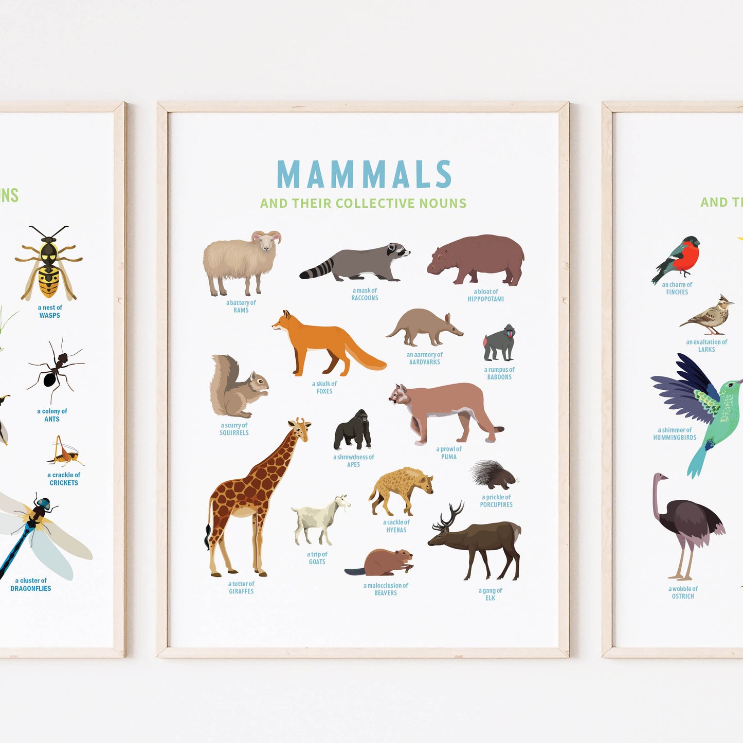 Collective Nouns Poster TRIO (insects, mammals, birds) - digital