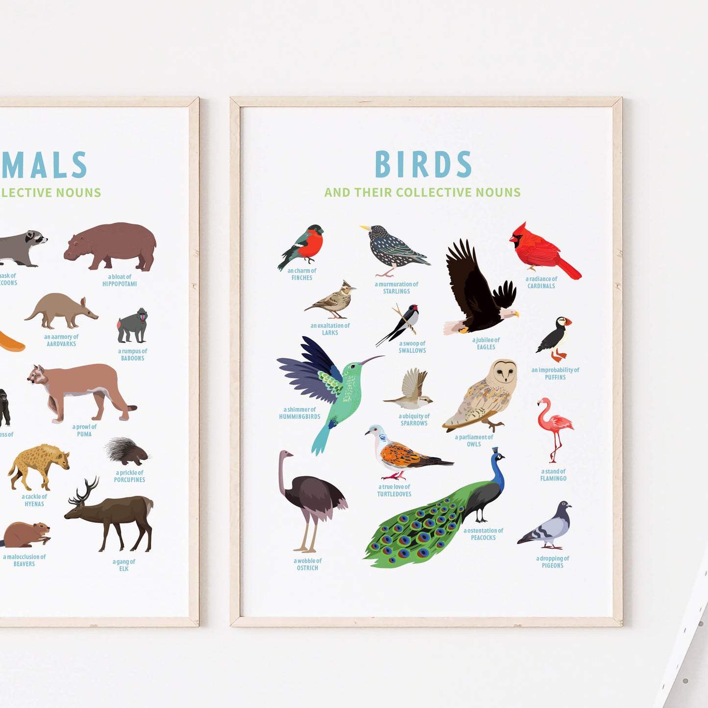 Collective Nouns Poster (Birds) - digital