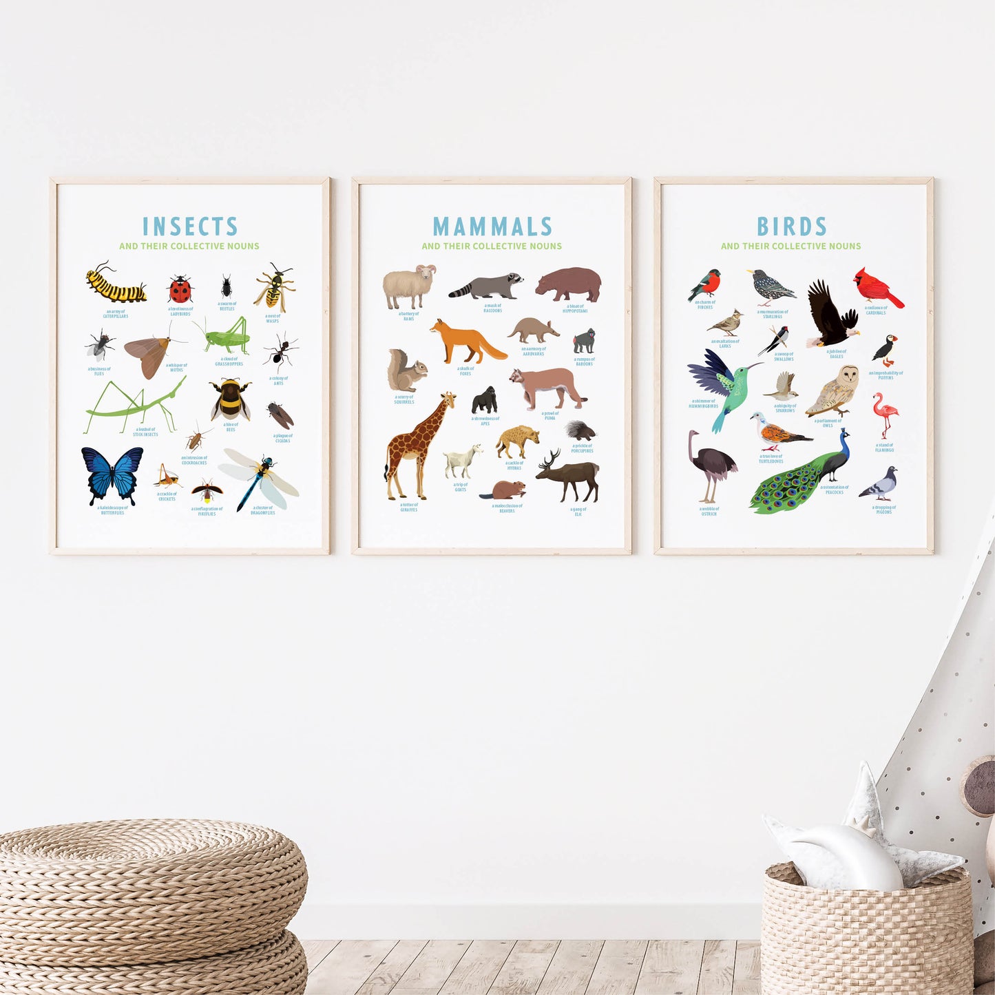 Collective Nouns Poster TRIO (insects, mammals, birds) - digital