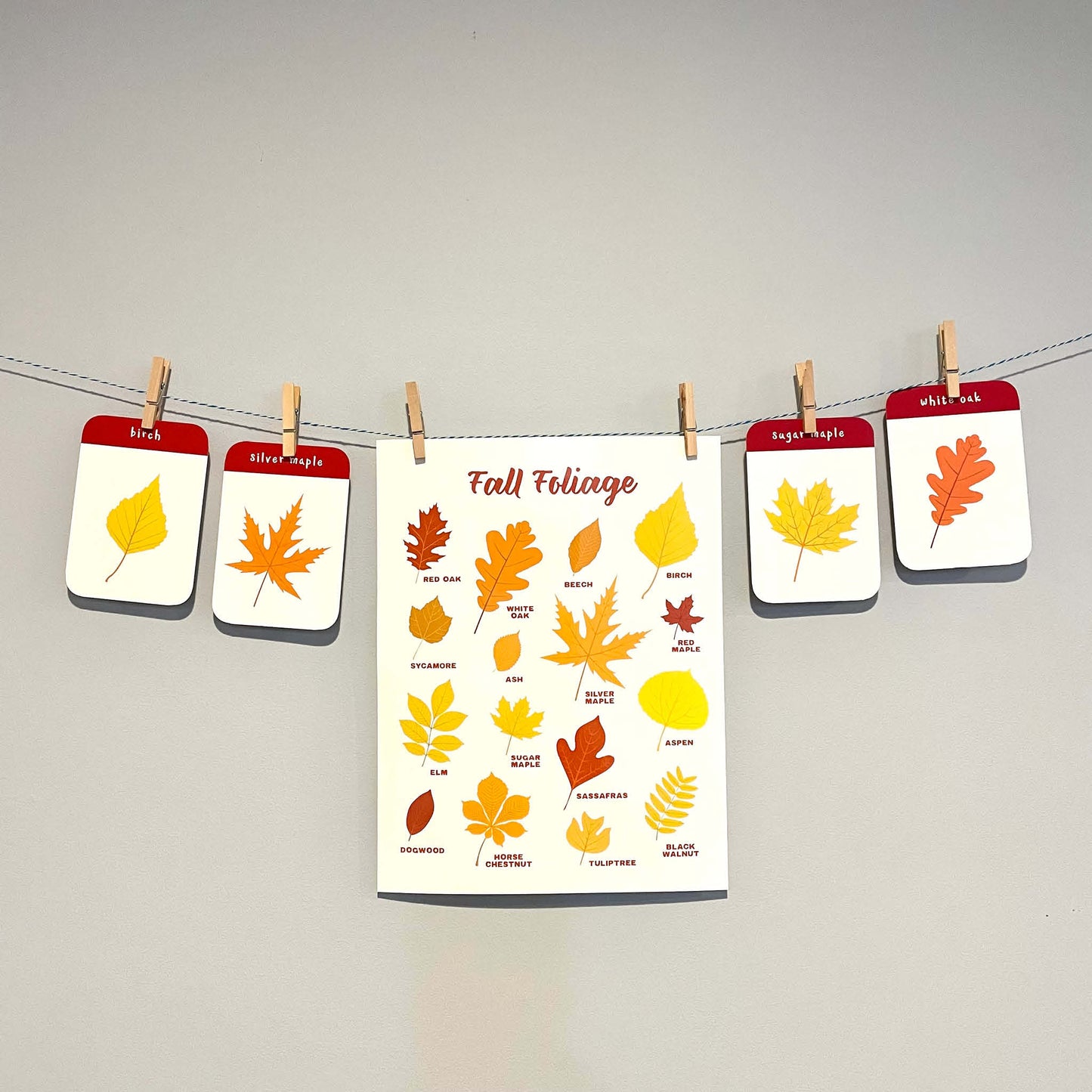 Autumn Leaf Identification Cards