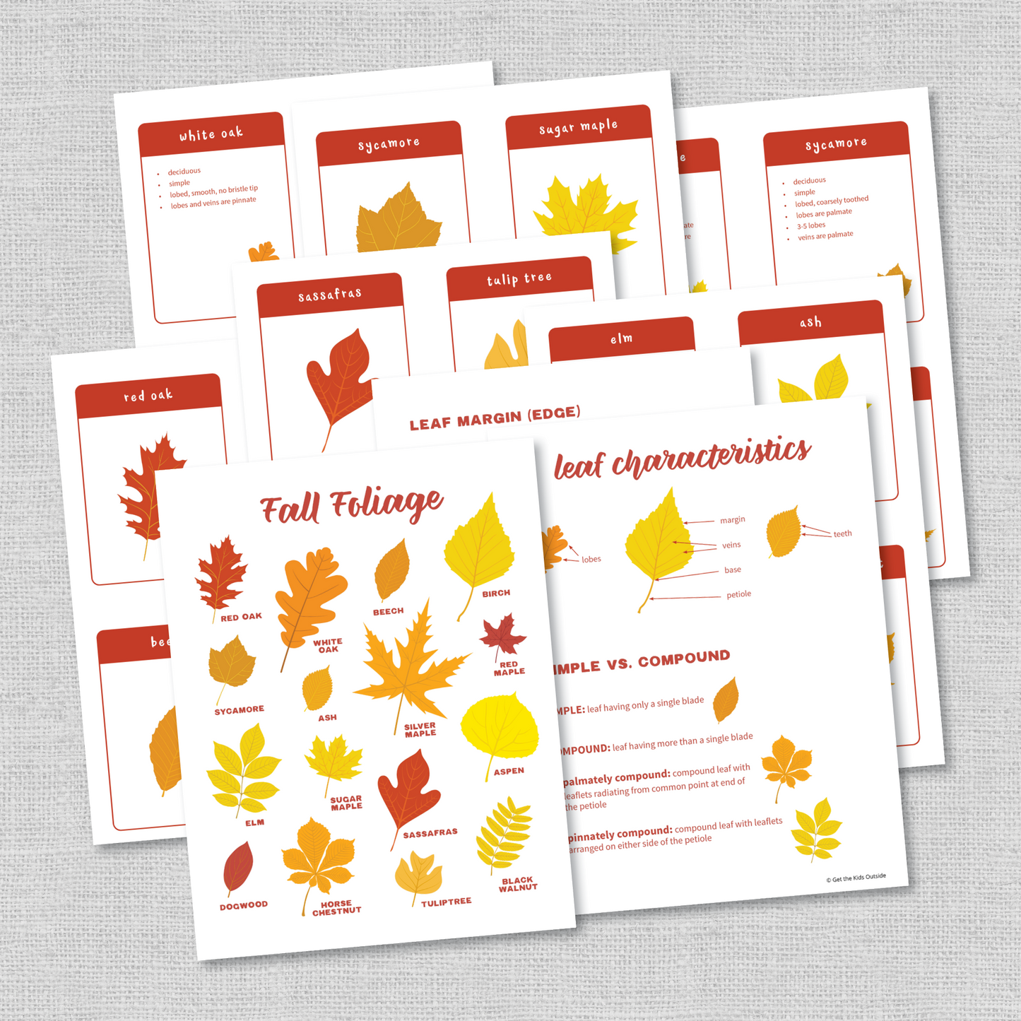 Autumn / Fall Outdoor Activity BUNDLE