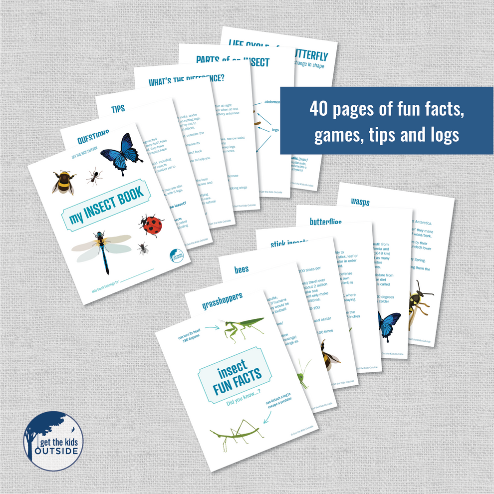 Insect Book – Get the Kids Outside